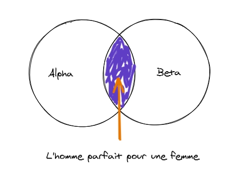 homme parfait : alpha ou beta