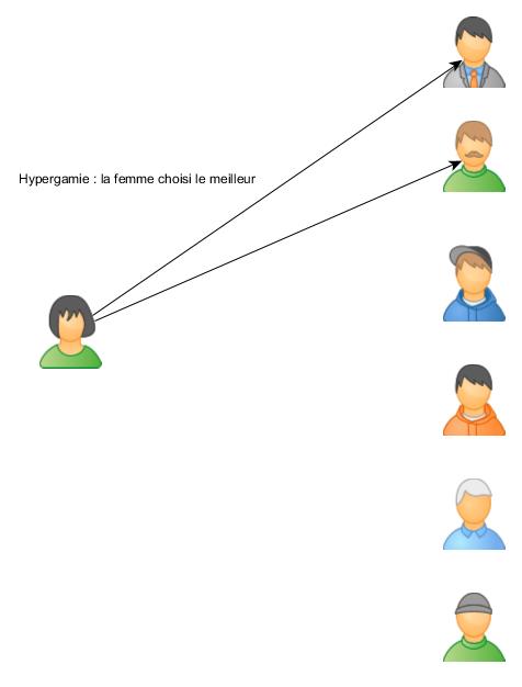 image graphique hypergamie