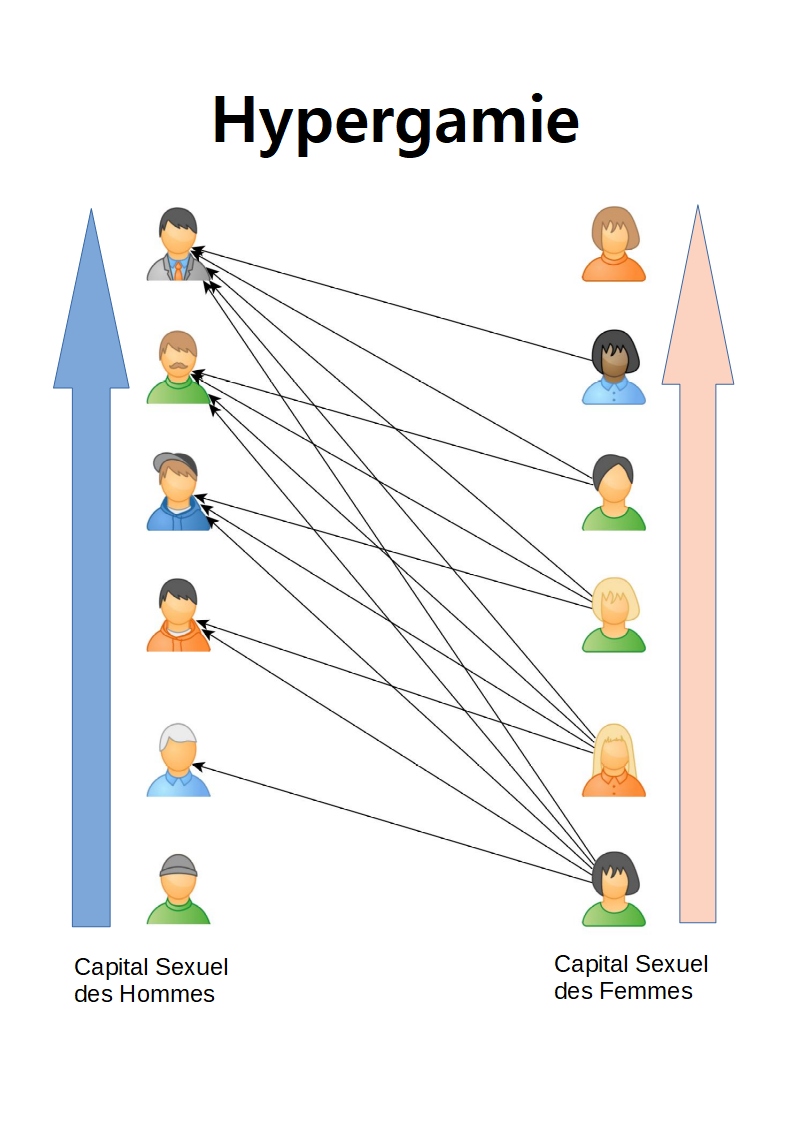 image graphique hypergamie